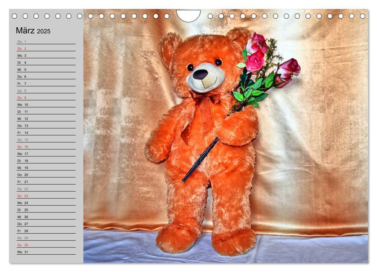 Bild: 9783435496068 | TEDDYBÄR, OH TEDDYBÄR... (Wandkalender 2025 DIN A4 quer), CALVENDO...