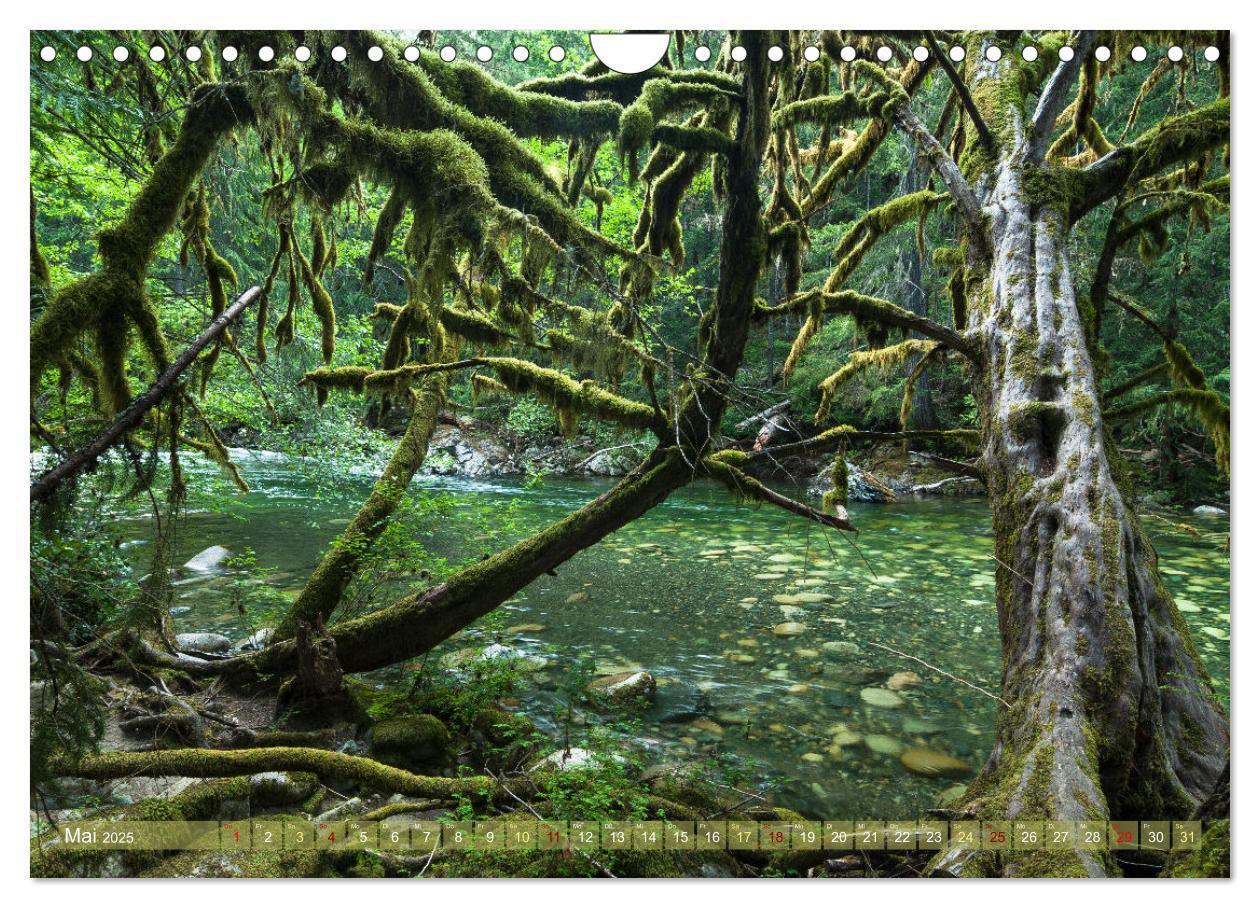 Bild: 9783435033263 | Vancouver Island - Insel zum Träumen (Wandkalender 2025 DIN A4...