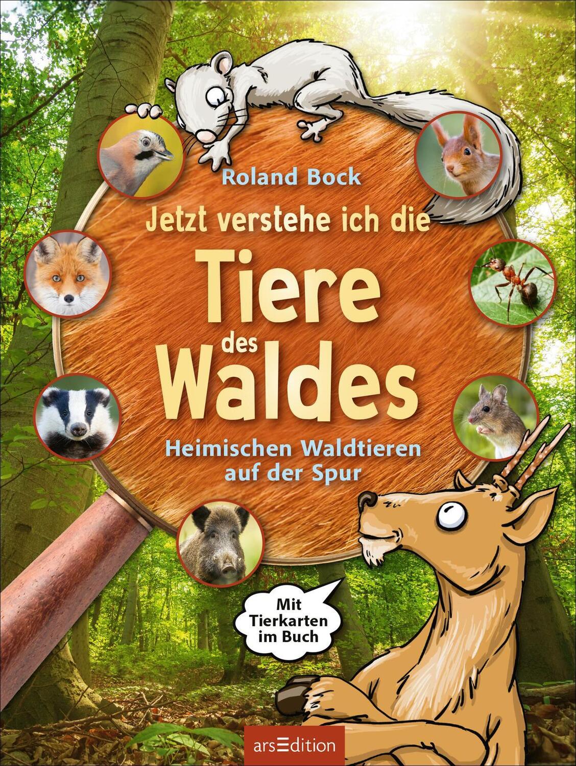 Bild: 9783845855653 | Jetzt verstehe ich die Tiere des Waldes | Roland Bock | Buch | 48 S.