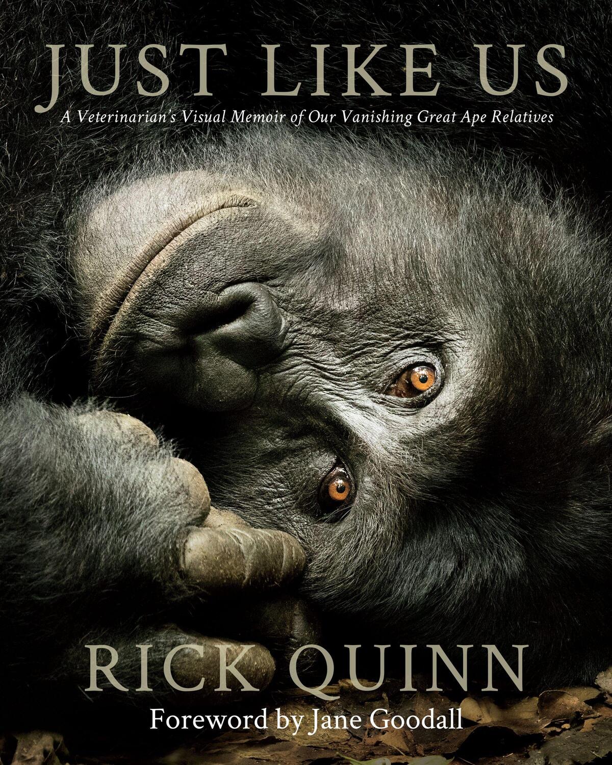 Cover: 9781734880212 | Just Like Us | Dr. Rick Quinn | Buch | Englisch | 2021