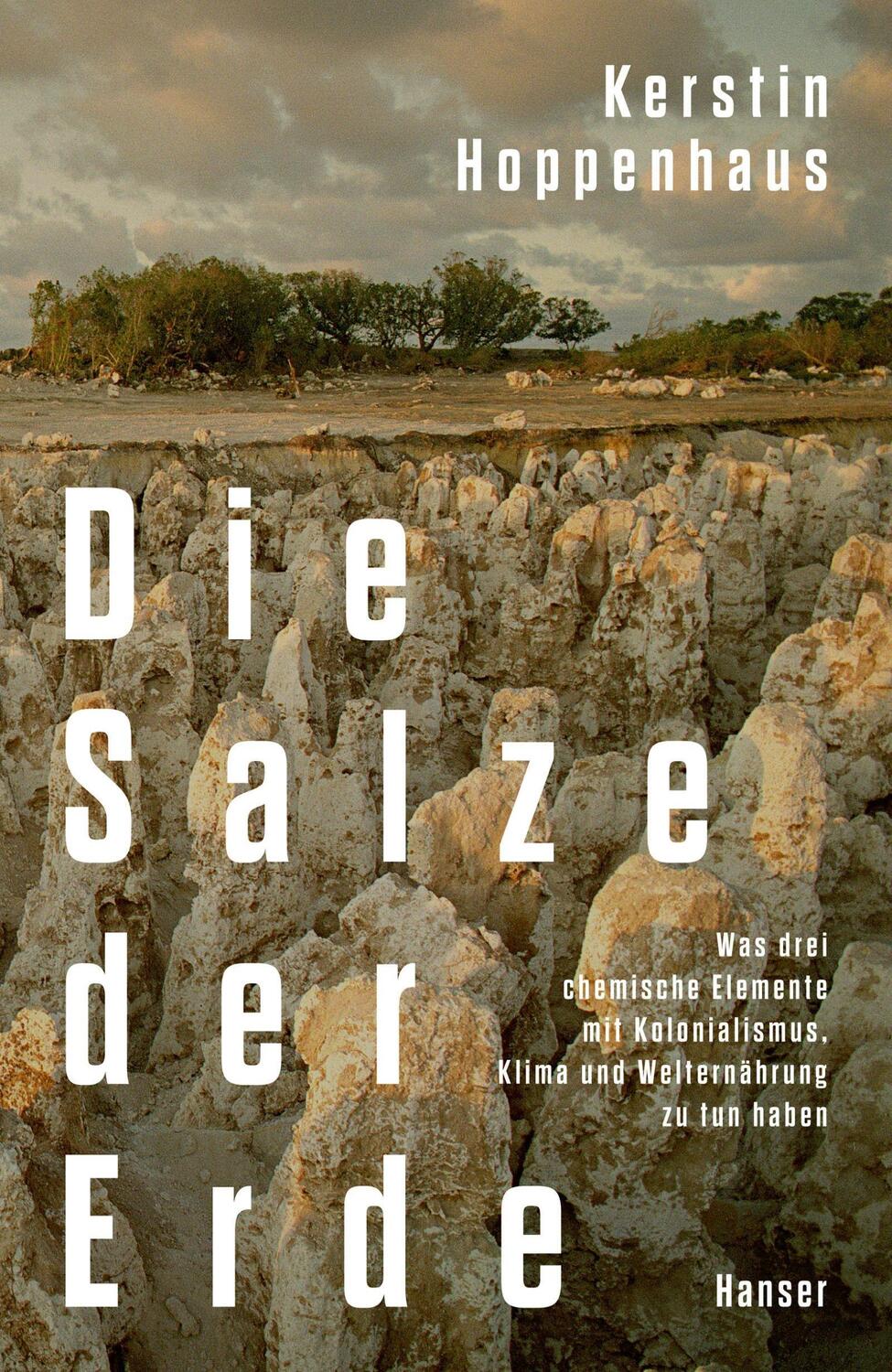 Cover: 9783446279704 | Die Salze der Erde | Kerstin Hoppenhaus | Buch | 336 S. | Deutsch