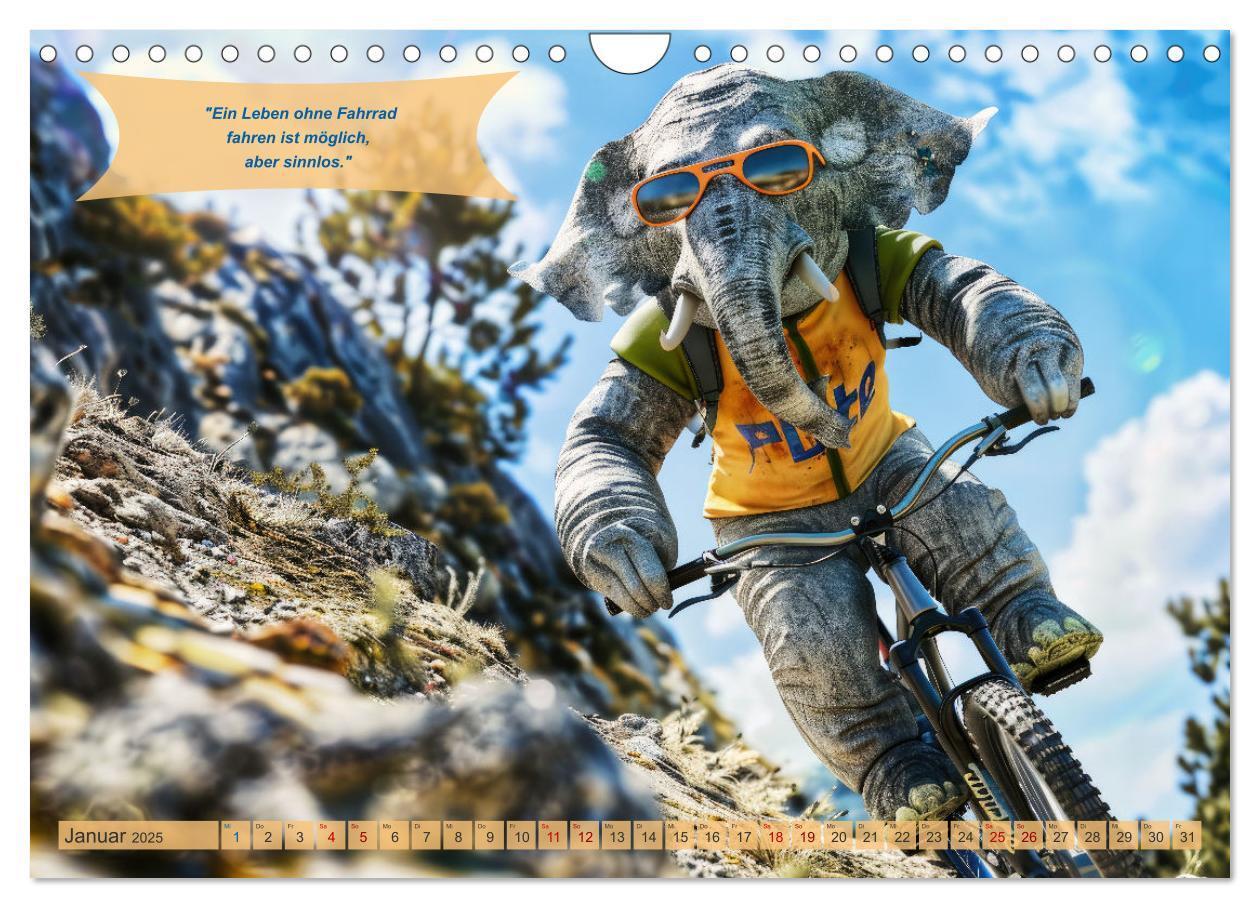 Bild: 9783457154311 | Der tierisch lustige Fahrradkalender (Wandkalender 2025 DIN A4...