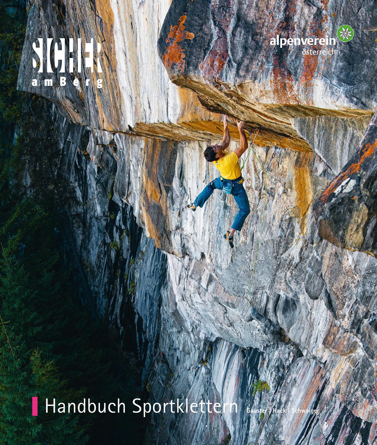 Cover: 9783702240066 | Handbuch Sportklettern | Herta Gauster (u. a.) | Taschenbuch | 380 S.