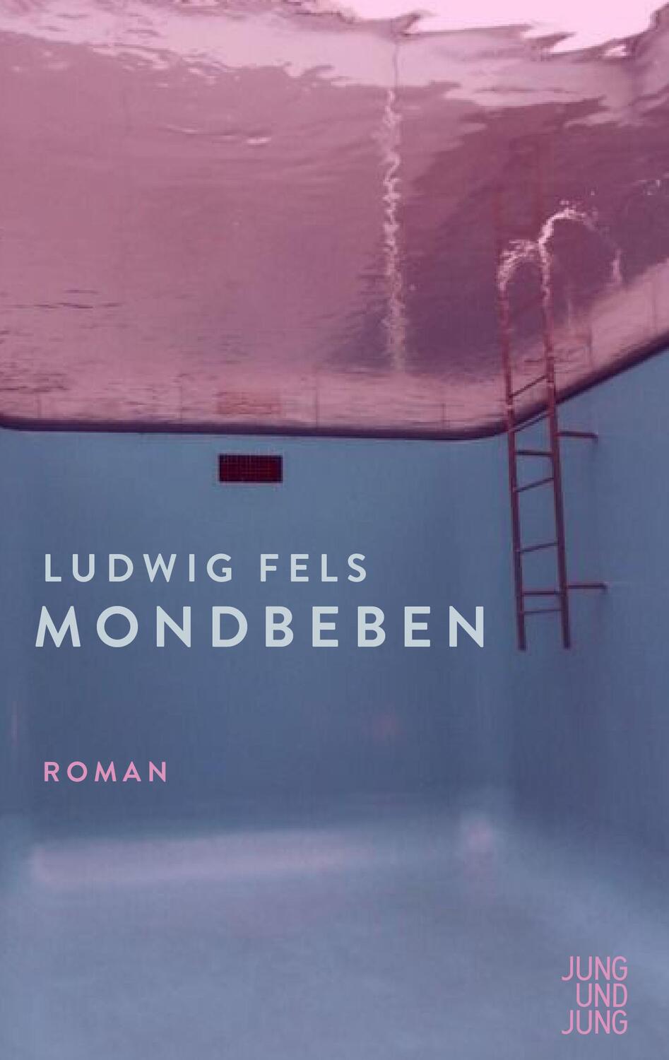 Cover: 9783990272411 | Mondbeben | Roman | Ludwig Fels | Taschenbuch | 320 S. | Deutsch