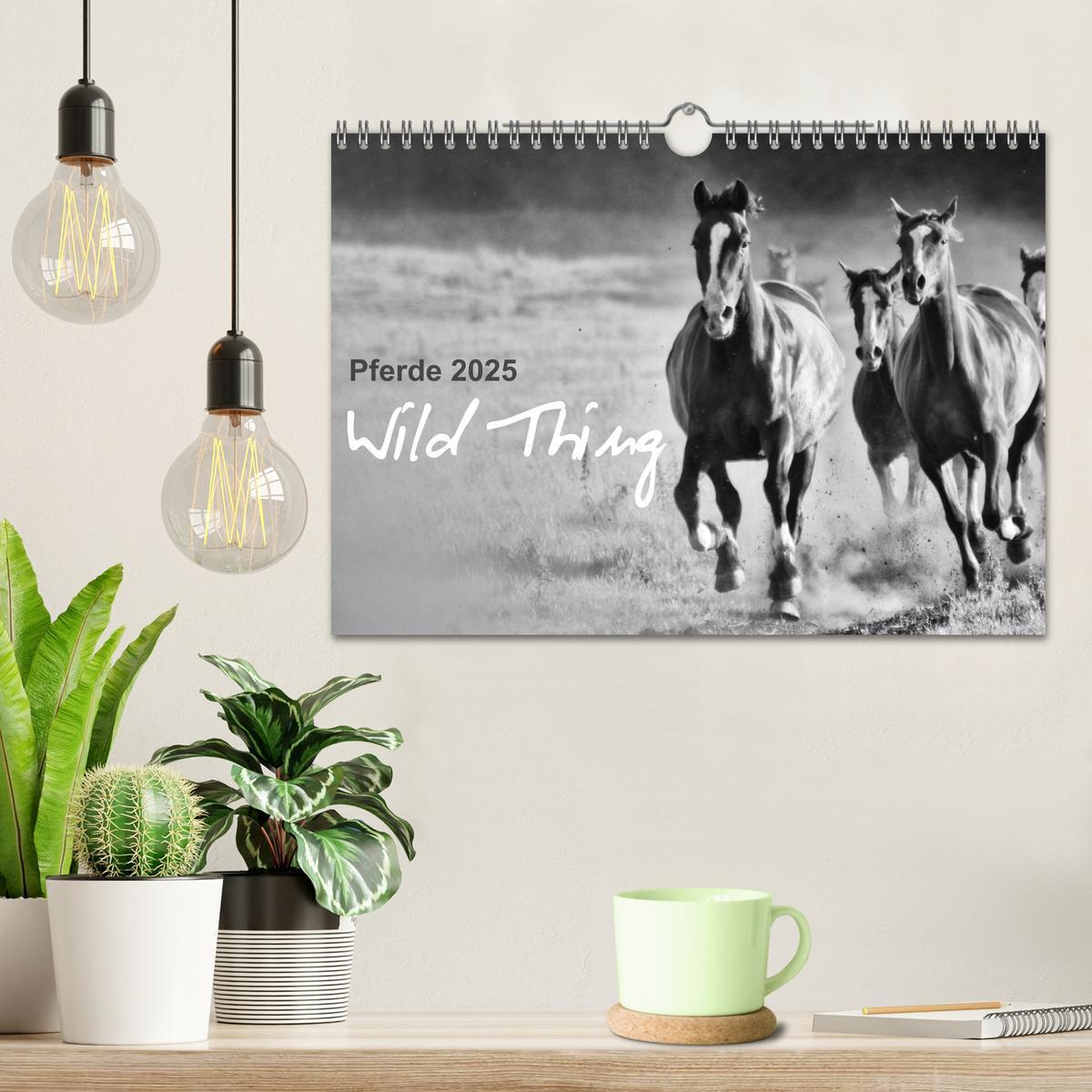 Bild: 9783435770298 | Pferde 2025 Wild Thing (Wandkalender 2025 DIN A4 quer), CALVENDO...