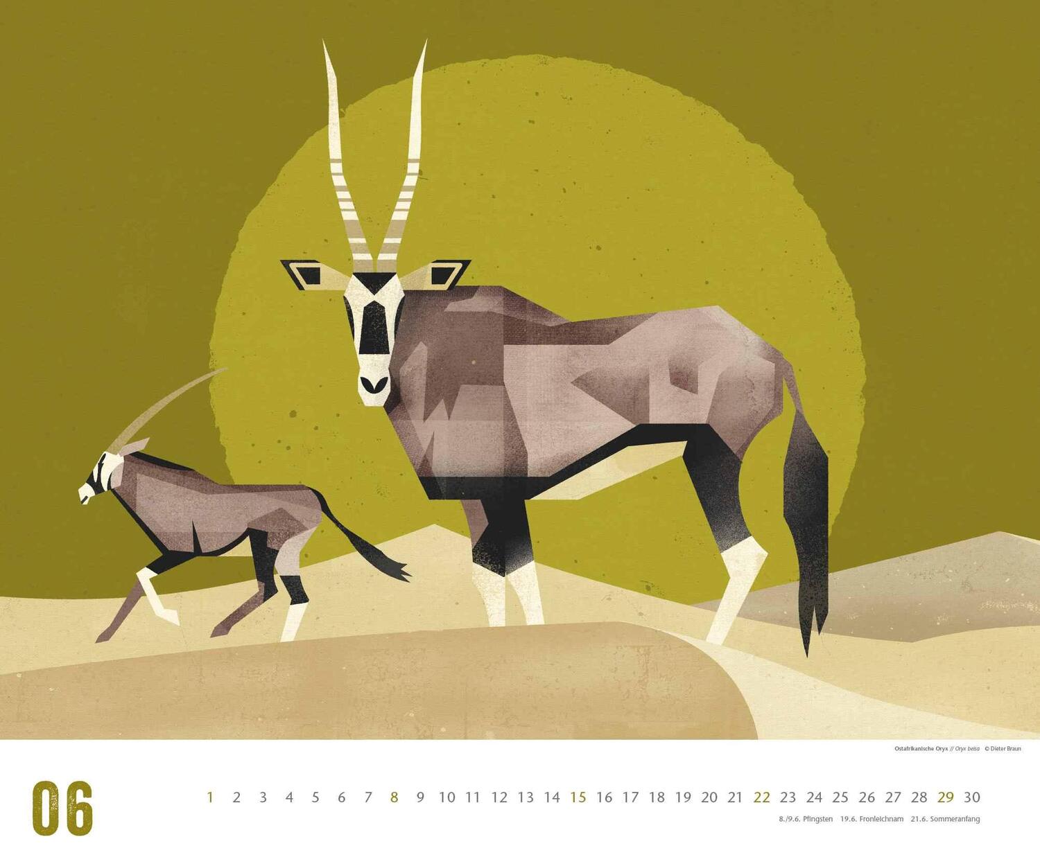 Bild: 4250809653129 | Dieter Braun: Die Welt der Tiere 2025 - Wandkalender - Format 60 x...