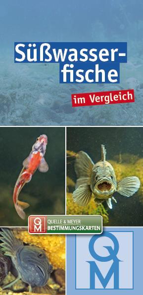 Cover: 9783494018898 | Süßwasserfische | im Vergleich | Quelle &amp; Meyer Verlag | Taschenbuch