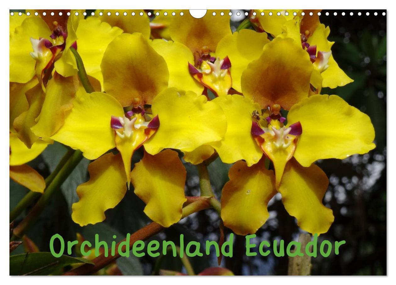 Cover: 9783383286919 | Orchideenland Ecuador (Wandkalender 2024 DIN A3 quer), CALVENDO...