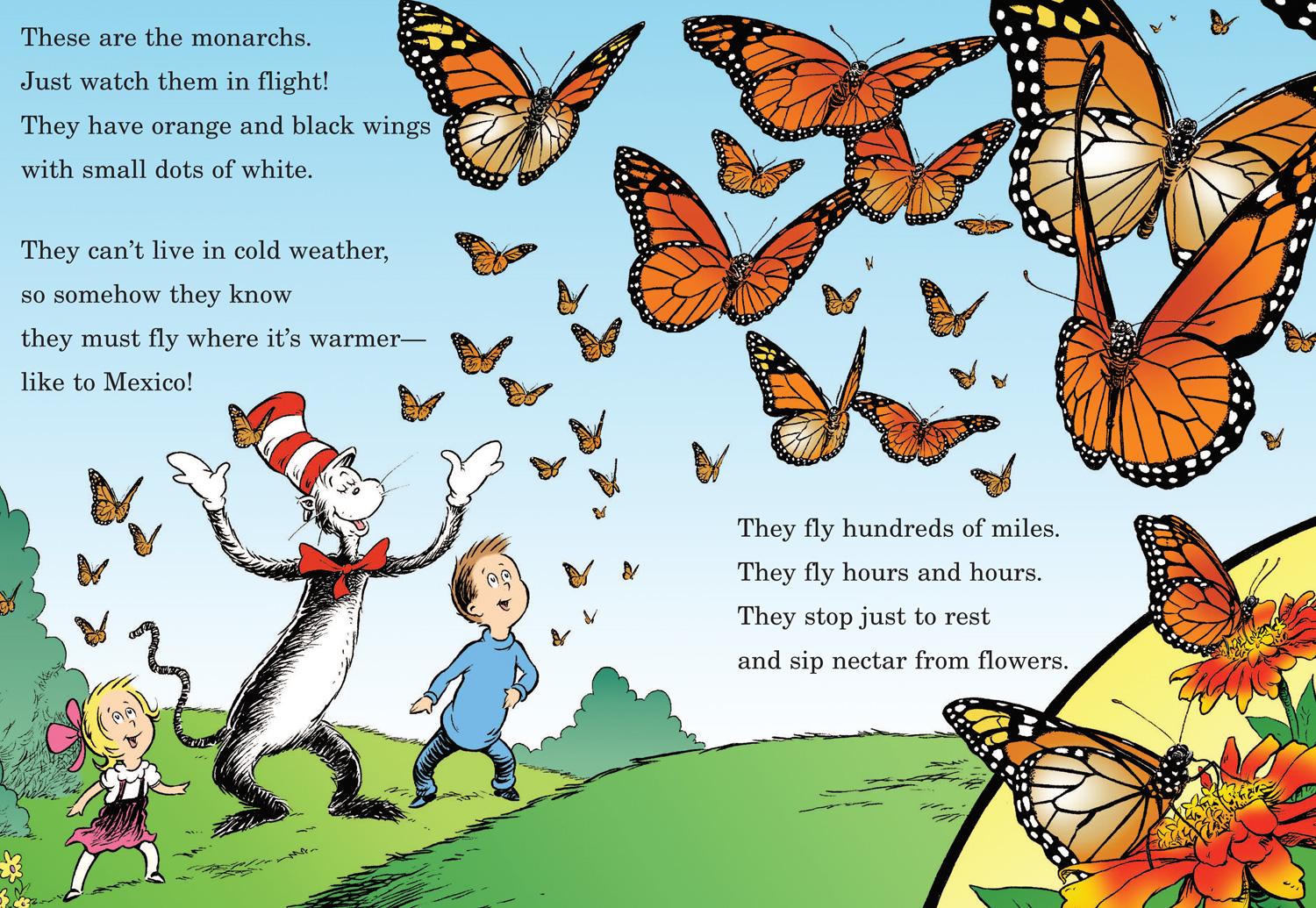 Bild: 9780007433087 | My Oh My A Butterfly | Seuss | Taschenbuch | Kartoniert / Broschiert