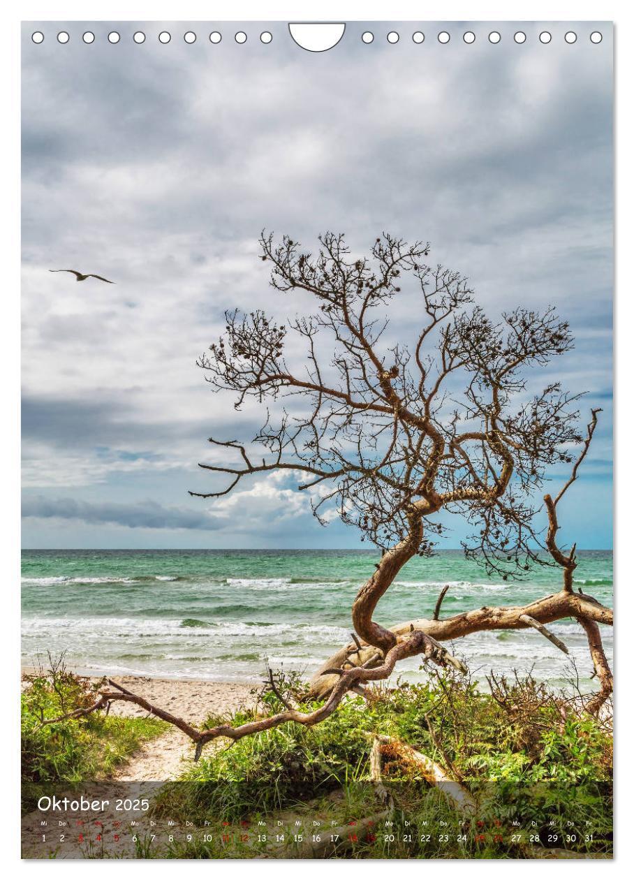 Bild: 9783435956654 | Wunderbare Ostseelandschaft Fischland-Darß-Zingst (Wandkalender...