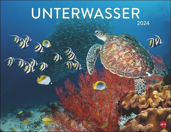 Cover: 9783756403981 | Unterwasser Posterkalender 2024. Spektakulärer Foto-Kalender im...