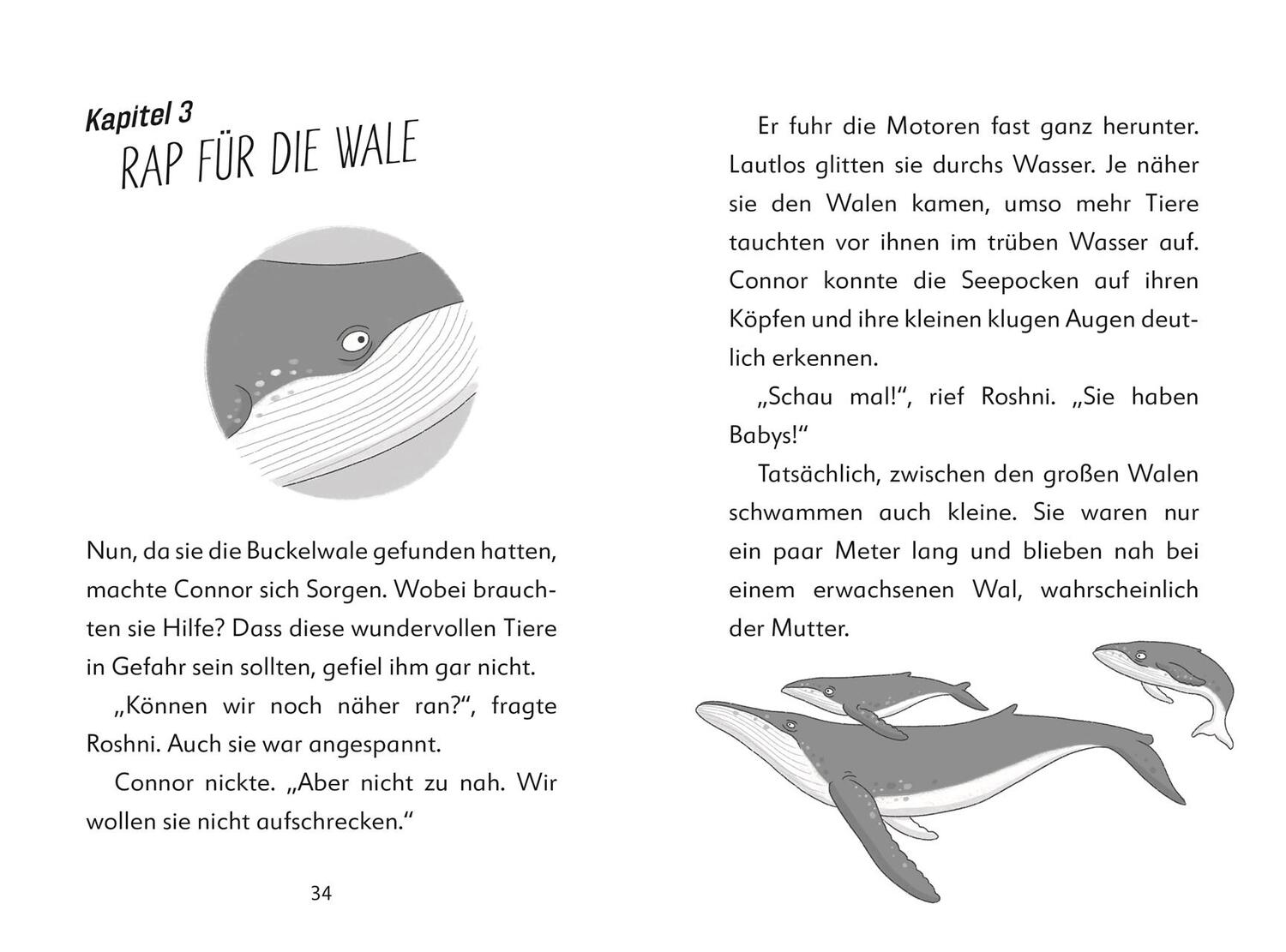 Bild: 9783831047925 | Ein Fall für die Forscher-Kids 1. Rettet die Wale! | S. J. King | Buch
