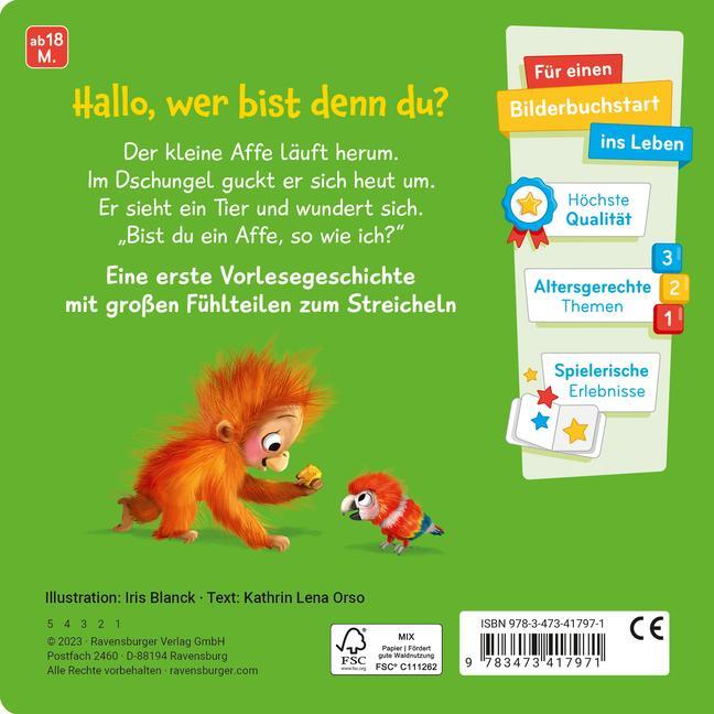 Bild: 9783473417971 | Mein erstes Vorlese-Fühlbuch: Bist du ein Affe? | Kathrin Lena Orso
