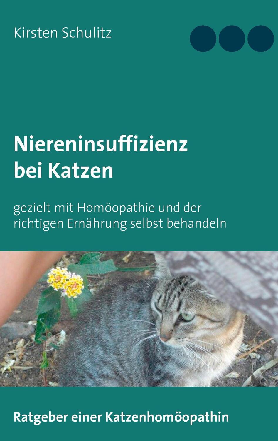 Cover: 9783744887991 | Niereninsuffizienz bei Katzen | Kirsten Schulitz | Taschenbuch