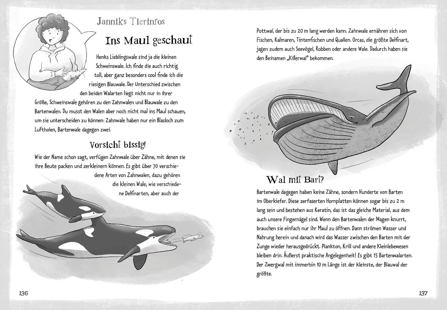 Bild: 9783965941380 | Die Grünen Piraten - Wale in Not | Andrea Poßberg (u. a.) | Buch
