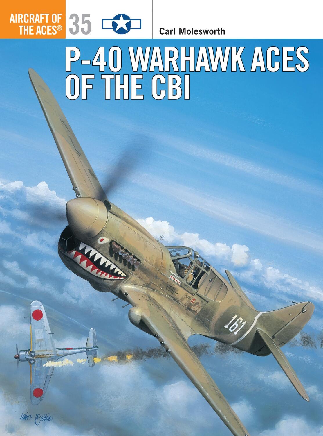 Cover: 9781841760797 | P-40 Warhawk Aces of the Cbi | Carl Molesworth | Taschenbuch | 2000
