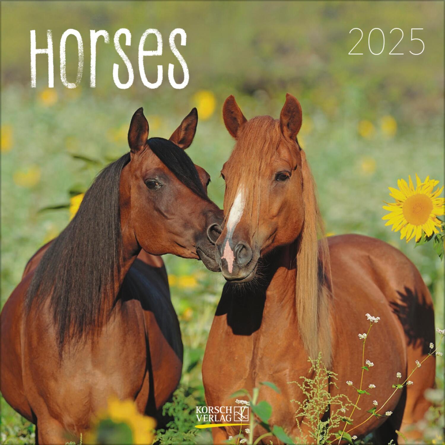 Cover: 9783731876380 | Horses 2025 | Verlag Korsch | Kalender | 13 S. | Deutsch | 2025