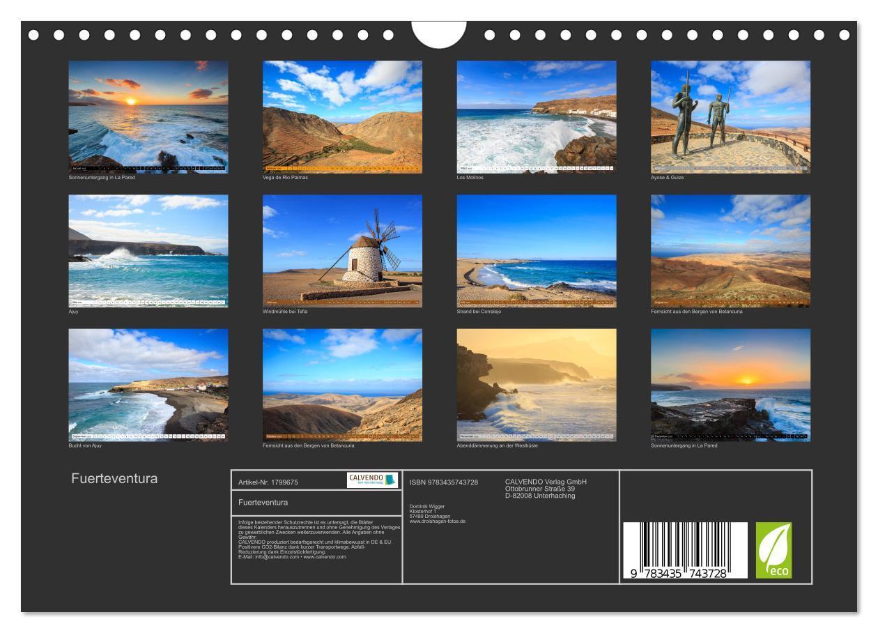 Bild: 9783435743728 | Fuerteventura (Wandkalender 2025 DIN A4 quer), CALVENDO Monatskalender