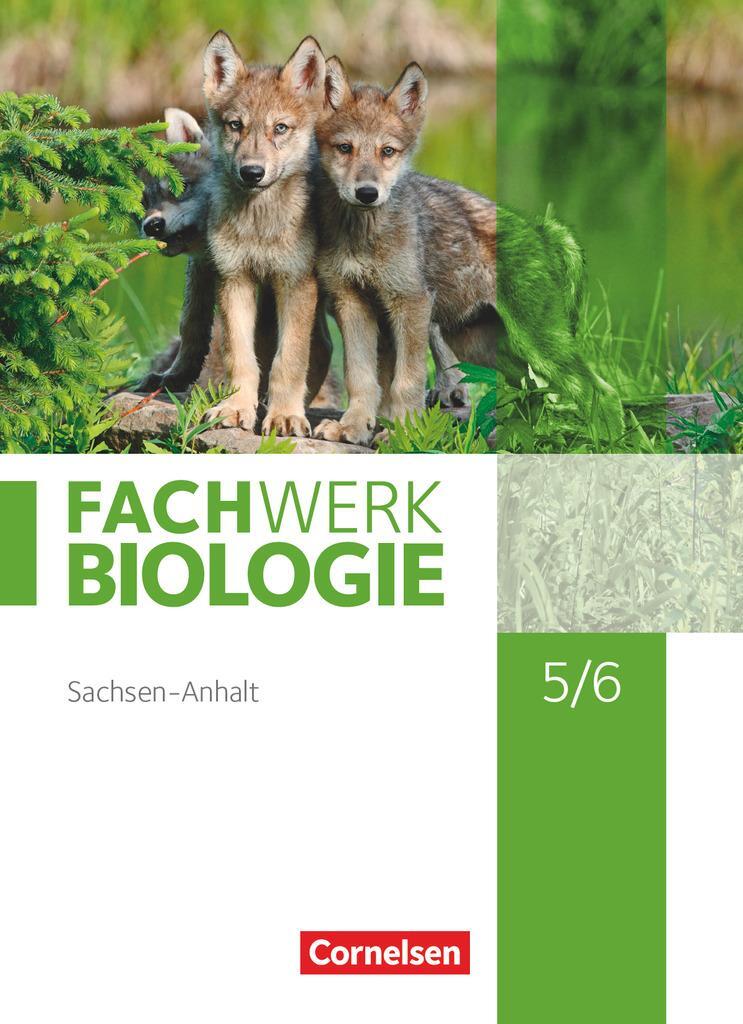 Cover: 9783060139033 | Fachwerk Biologie 5./6. Schuljahr. Sachsen-Anhalt - Schülerbuch | Buch