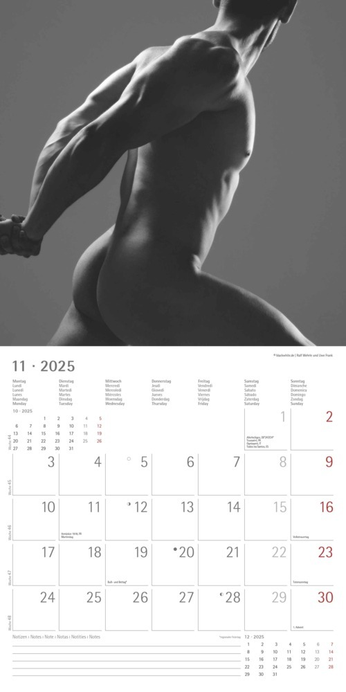 Bild: 4251732343095 | Alpha Edition - Masculine 2025 Broschürenkalender, 30x30cm,...