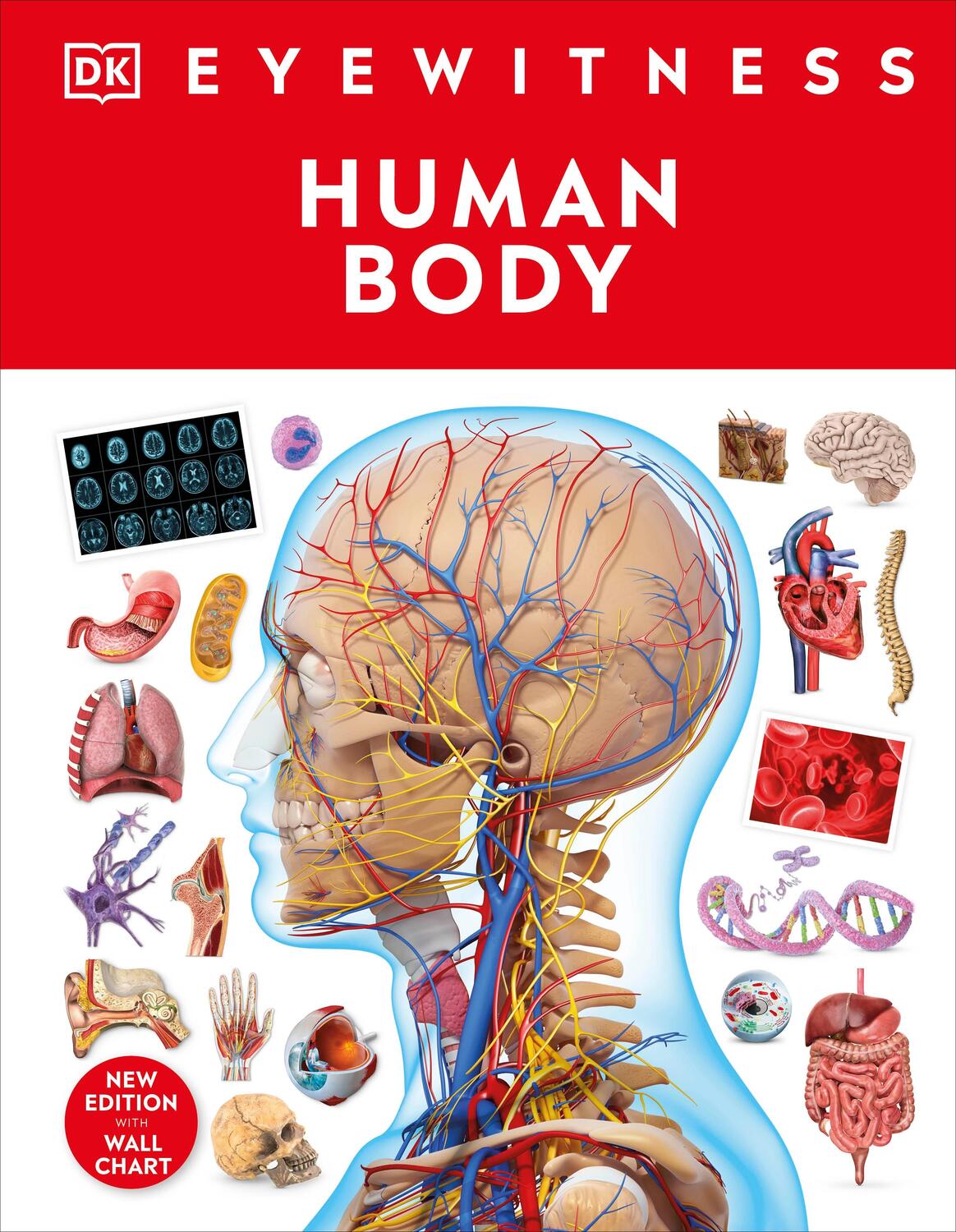 Cover: 9780241617175 | Human Body | DK | Buch | DK Eyewitness | Englisch | 2023