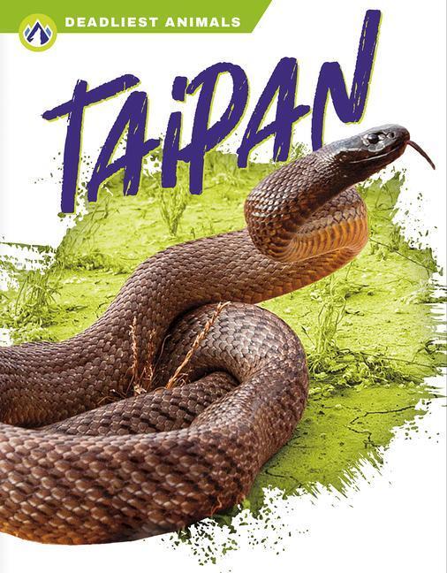 Cover: 9781637383247 | Deadliest Animals: Taipan | Rachel Hamby | Taschenbuch | Englisch
