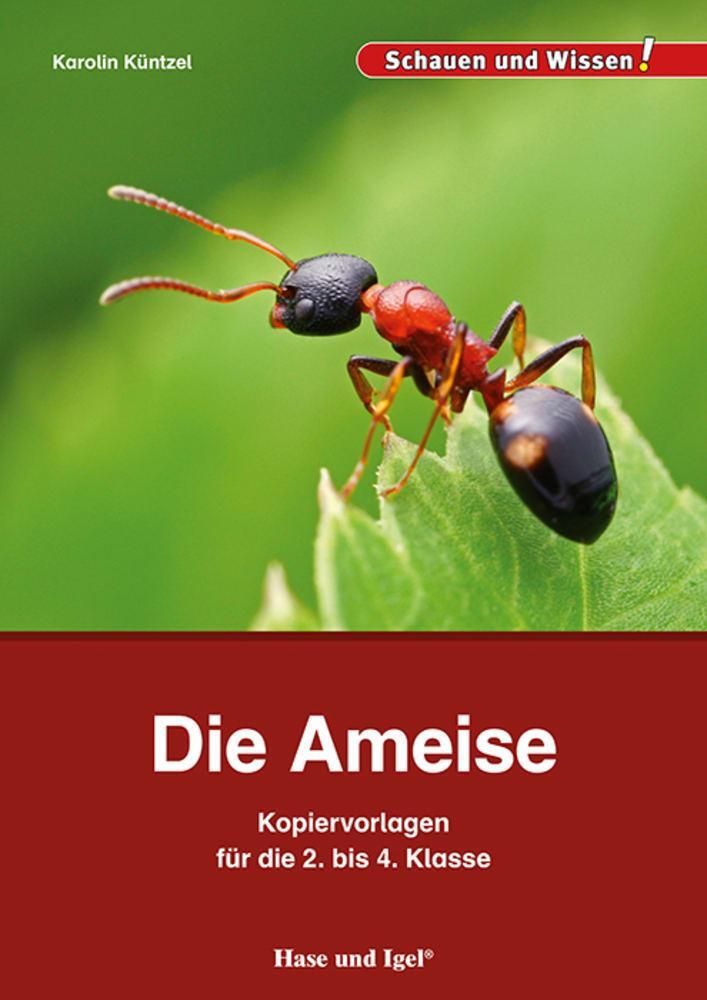 Cover: 9783863163570 | Die Ameise - Kopiervorlagen für die 2. bis 4. Klasse | Karolin Küntzel
