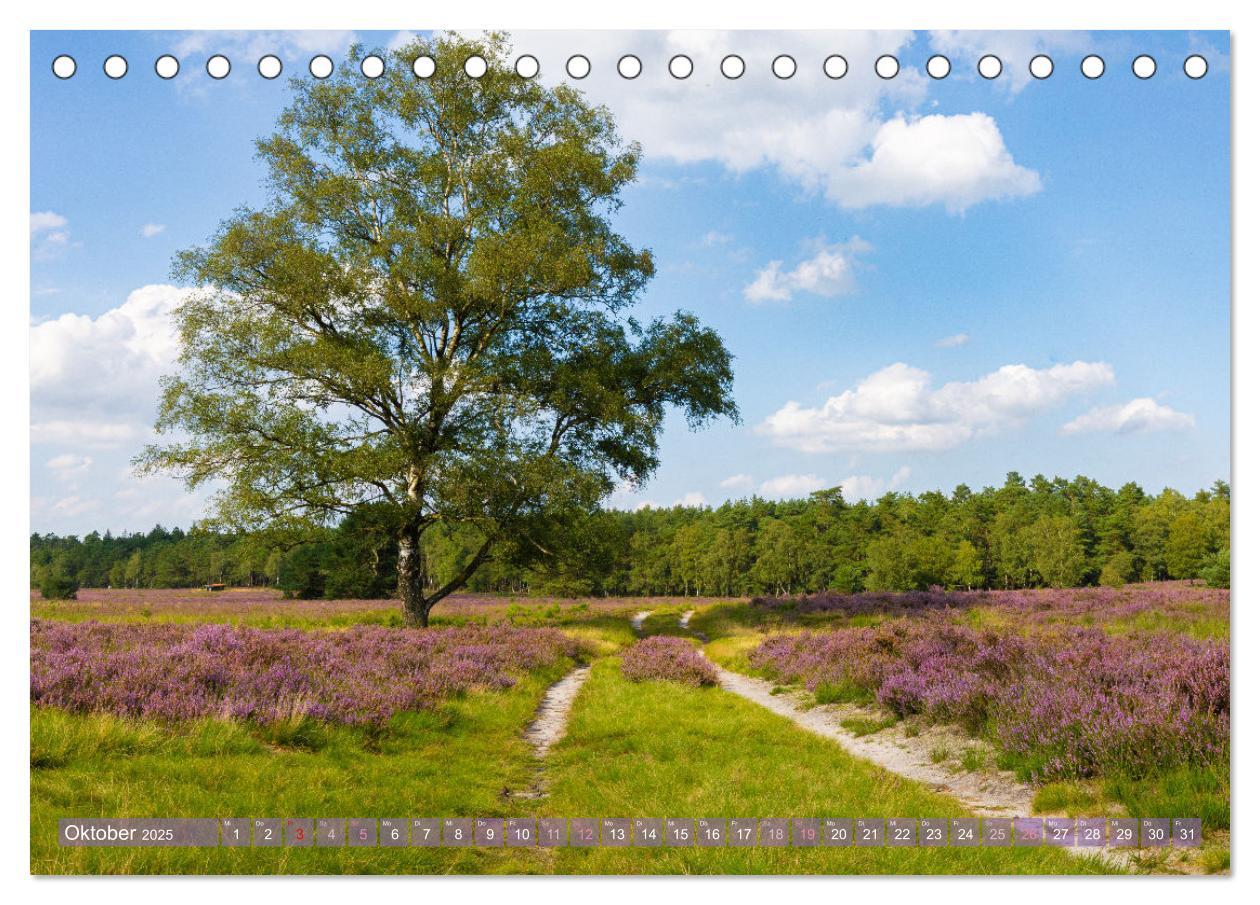 Bild: 9783383831355 | Im Blütenrausch der Lüneburger Heide (Tischkalender 2025 DIN A5...