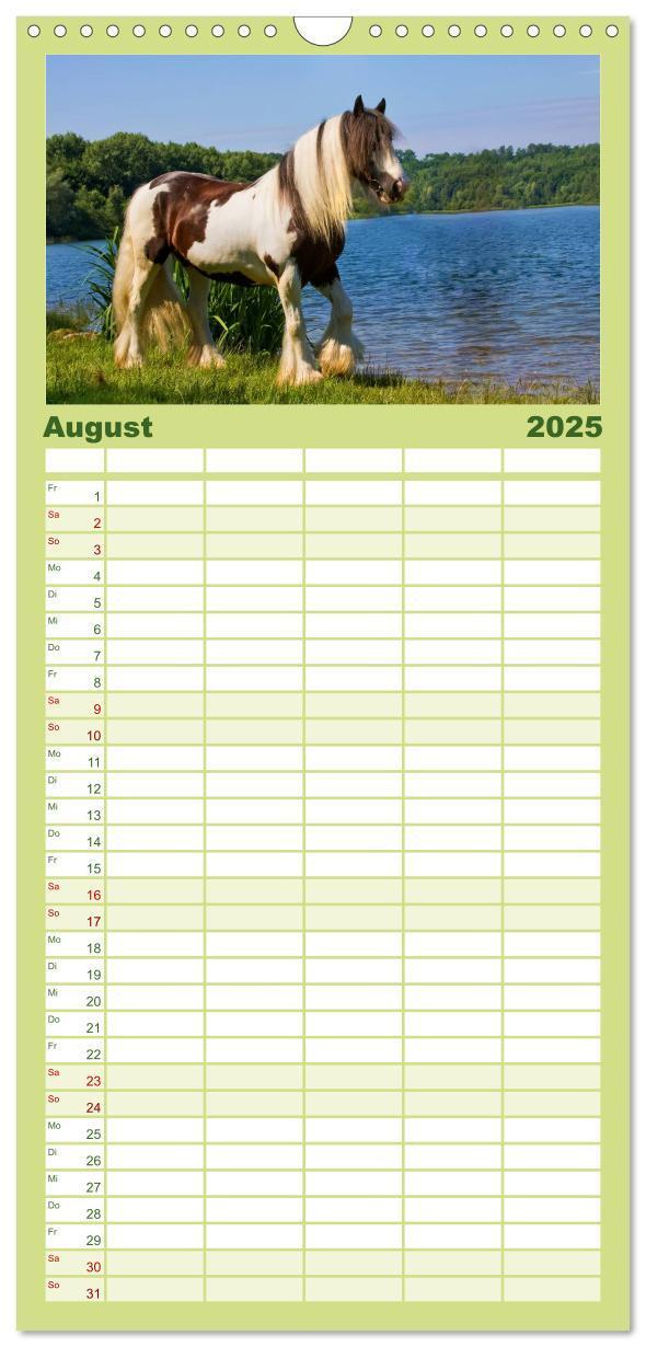 Bild: 9783457113738 | Familienplaner 2025 - Irish Tinker mit 5 Spalten (Wandkalender, 21...