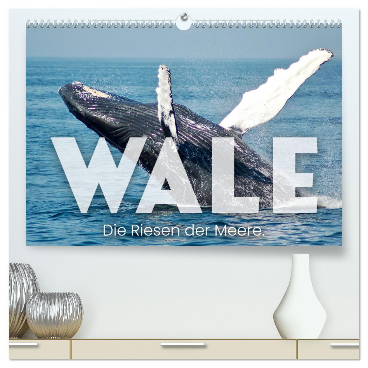 Cover: 9783675644601 | Wale - Die Riesen der Meere. (hochwertiger Premium Wandkalender...