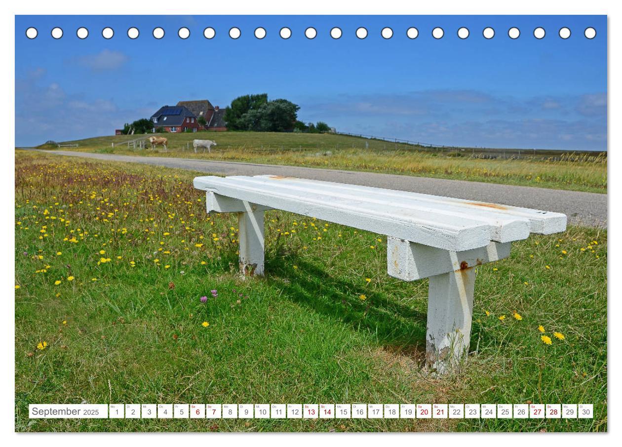 Bild: 9783435255801 | Sommertage auf Hallig Hooge (Tischkalender 2025 DIN A5 quer),...