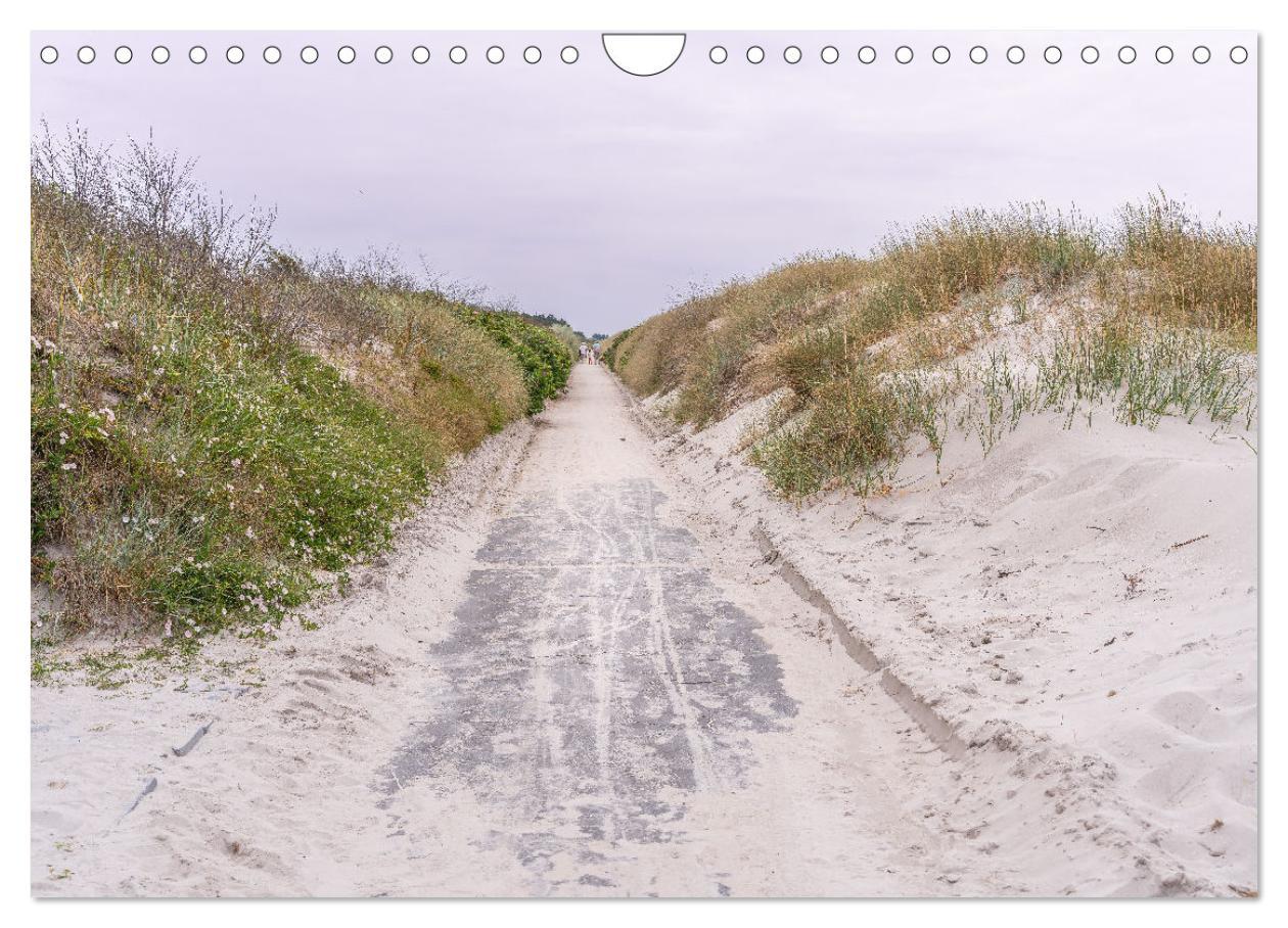 Bild: 9783383848155 | Inseelfeeling - Hiddensee (Wandkalender 2025 DIN A4 quer), CALVENDO...