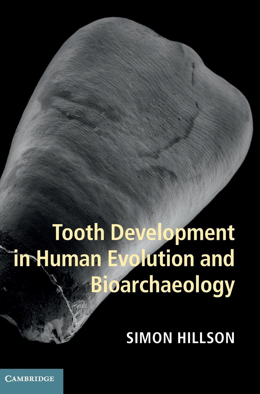 Cover: 9781107011335 | Tooth Development in Human Evolution and Bioarchaeology | Hillson
