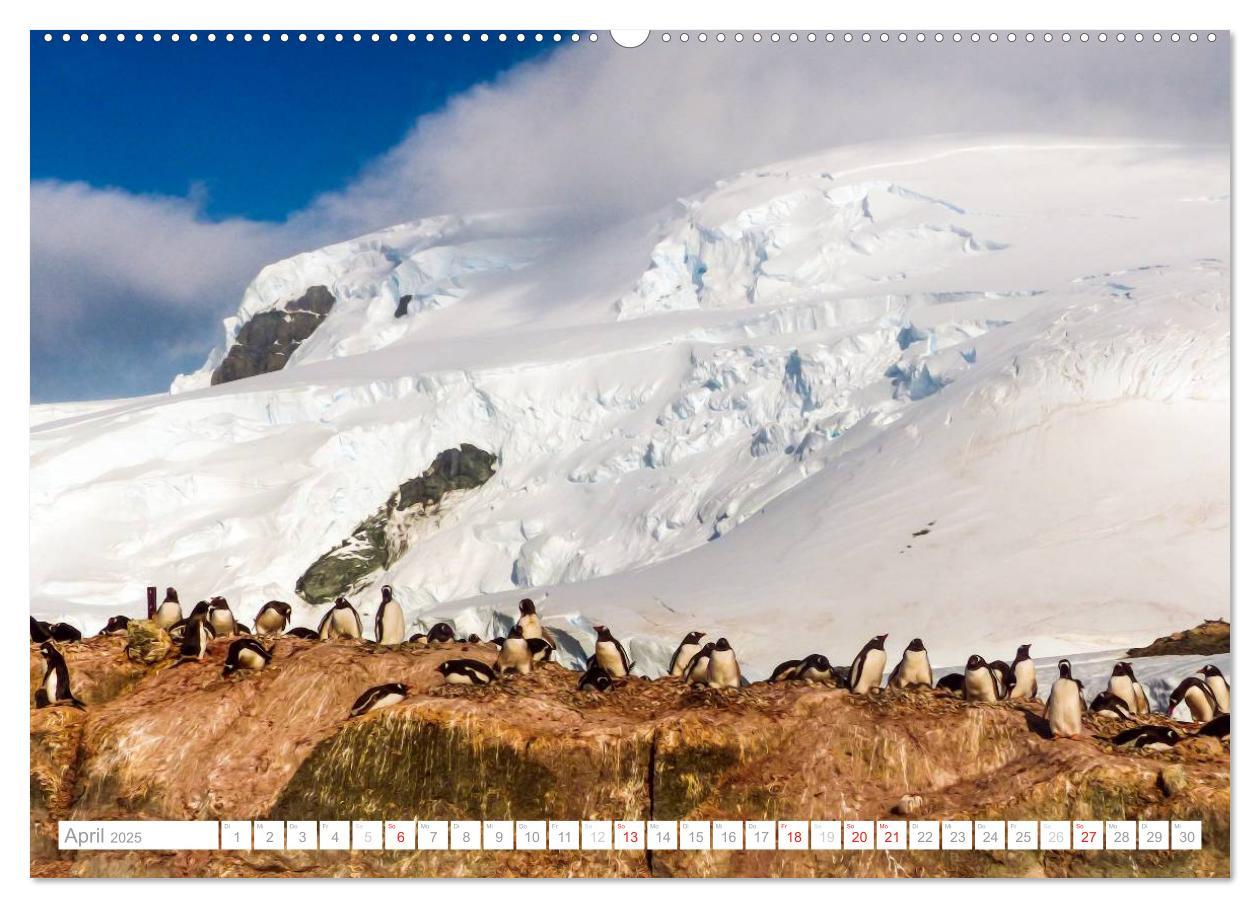 Bild: 9783435801572 | Antarktis - Das Reich der Pinguine (Wandkalender 2025 DIN A2 quer),...