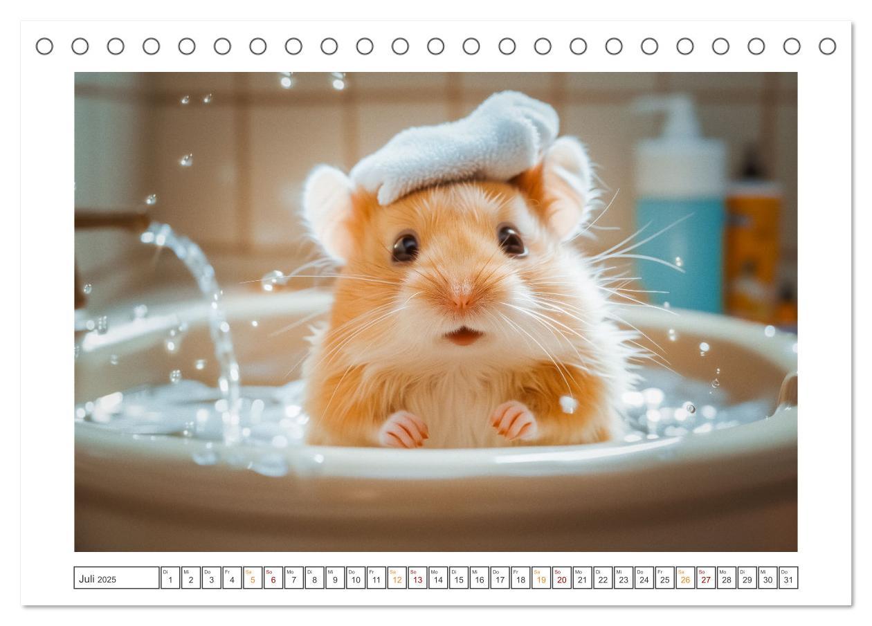 Bild: 9783435084876 | Lustige Hamster (Tischkalender 2025 DIN A5 quer), CALVENDO...