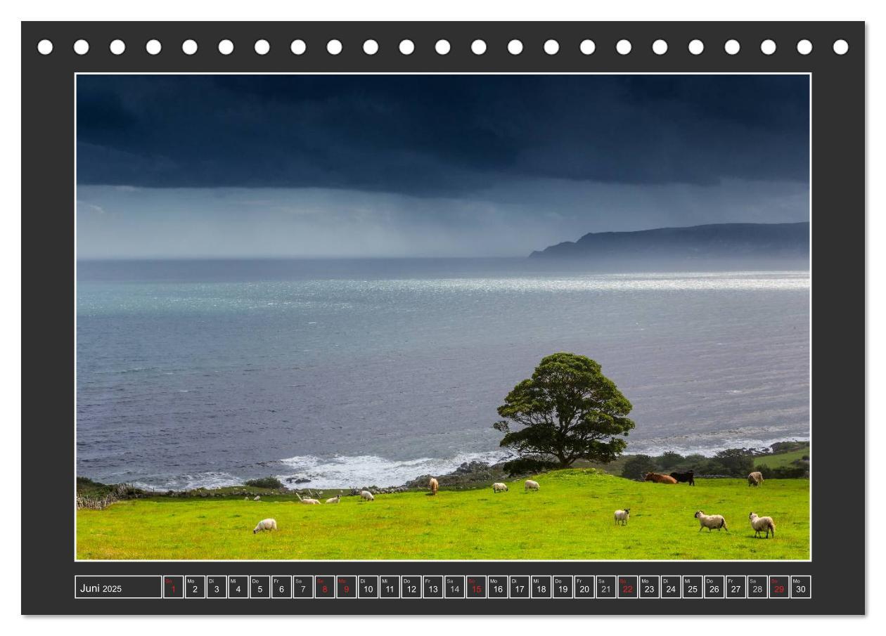 Bild: 9783435679430 | IRLAND - Insel der glücklichen Schafe (Tischkalender 2025 DIN A5...