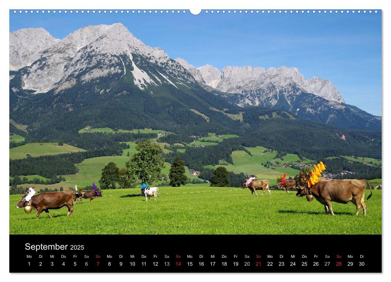 Bild: 9783435536597 | Almabtrieb in Tirol (Wandkalender 2025 DIN A2 quer), CALVENDO...