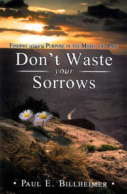 Cover: 9780875080079 | Don't Waste Your Sorrows | Paul E. Billheimer | Taschenbuch | Englisch