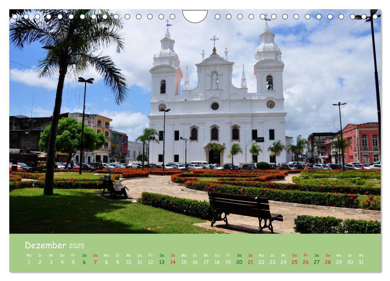 Bild: 9783435658541 | Am Amazonas (Wandkalender 2025 DIN A4 quer), CALVENDO Monatskalender