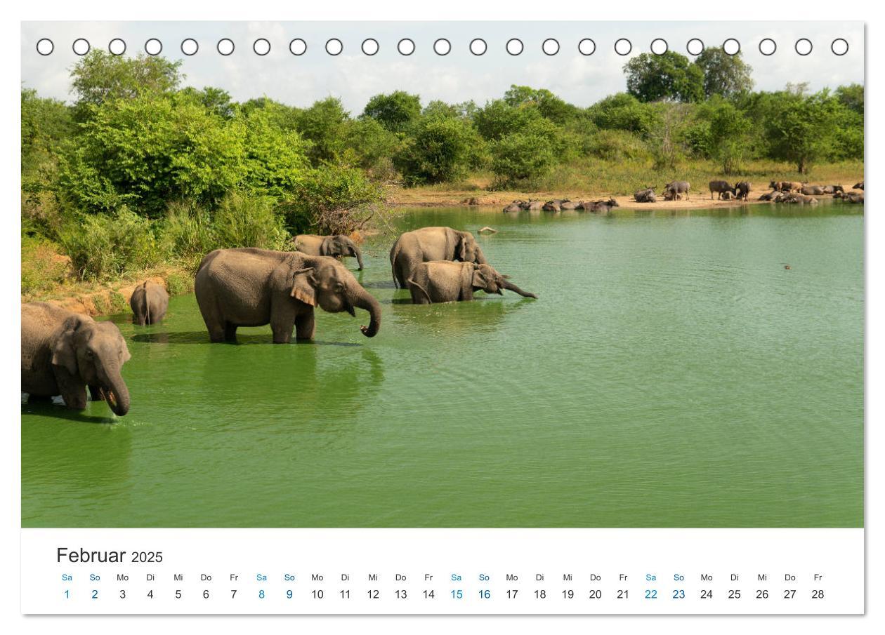 Bild: 9783435148707 | Traumziel Sri Lanka (Tischkalender 2025 DIN A5 quer), CALVENDO...