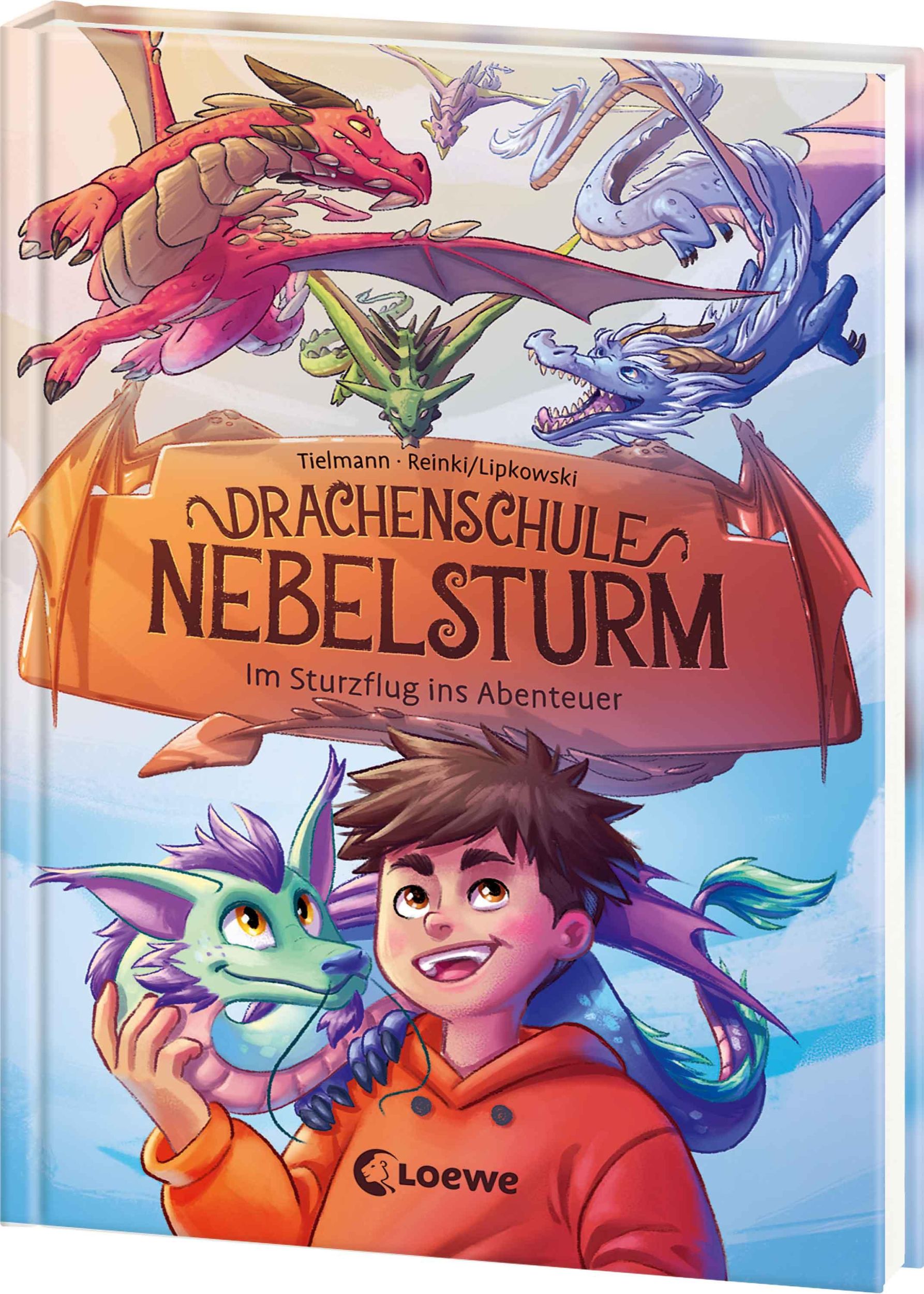 Cover: 9783743216907 | Drachenschule Nebelsturm (Band 1) - Im Sturzflug ins Abenteuer | Buch