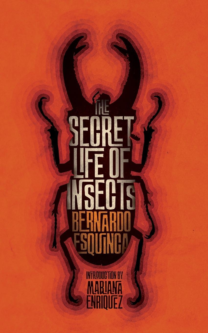 Cover: 9781954321960 | The Secret Life of Insects and Other Stories | Bernardo Esquinca