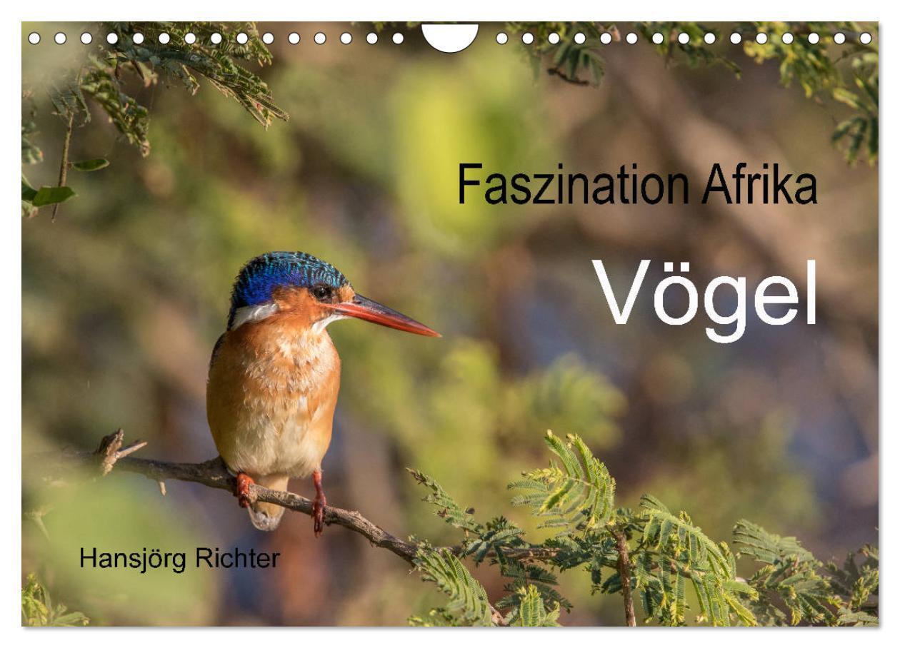Cover: 9783383210129 | Faszination Afrika - Vögel (Wandkalender 2024 DIN A4 quer),...