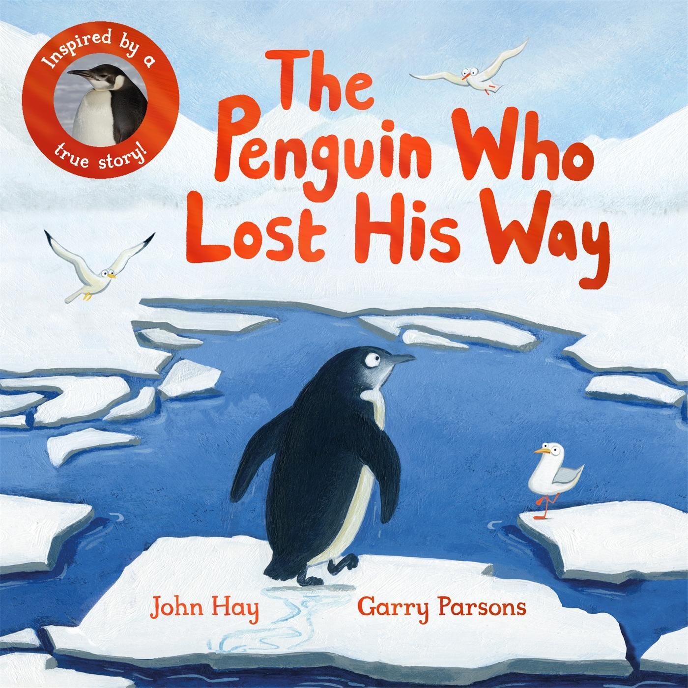 Cover: 9781529070484 | The Penguin Who Lost His Way | Inspired by a True Story | John Hay