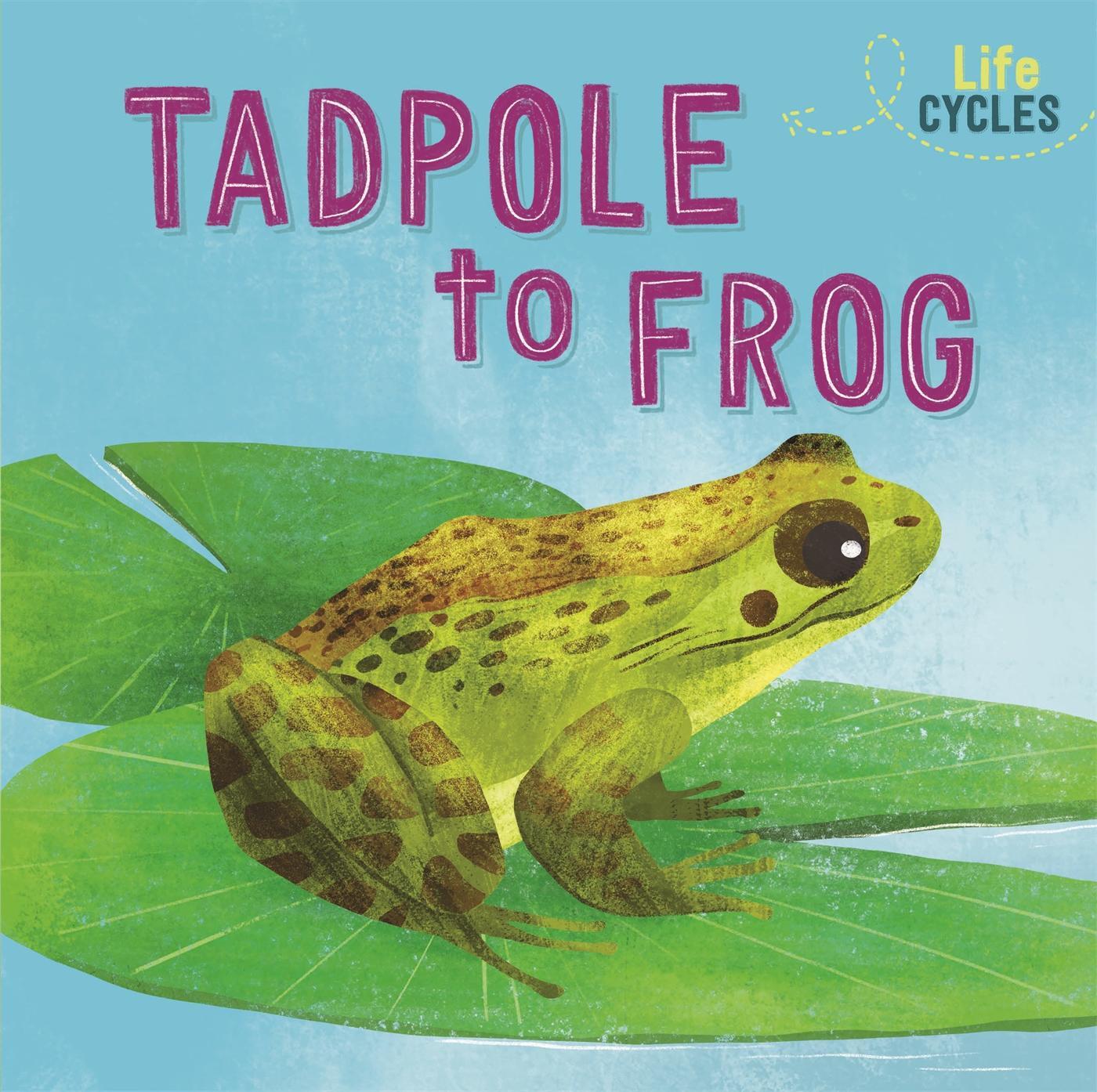 Cover: 9781526310231 | Life Cycles: From Tadpole to Frog | Rachel Tonkin | Buch | Gebunden