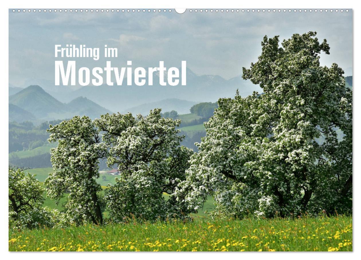 Cover: 9783675685925 | Frühling im Mostviertel (Wandkalender 2024 DIN A2 quer), CALVENDO...