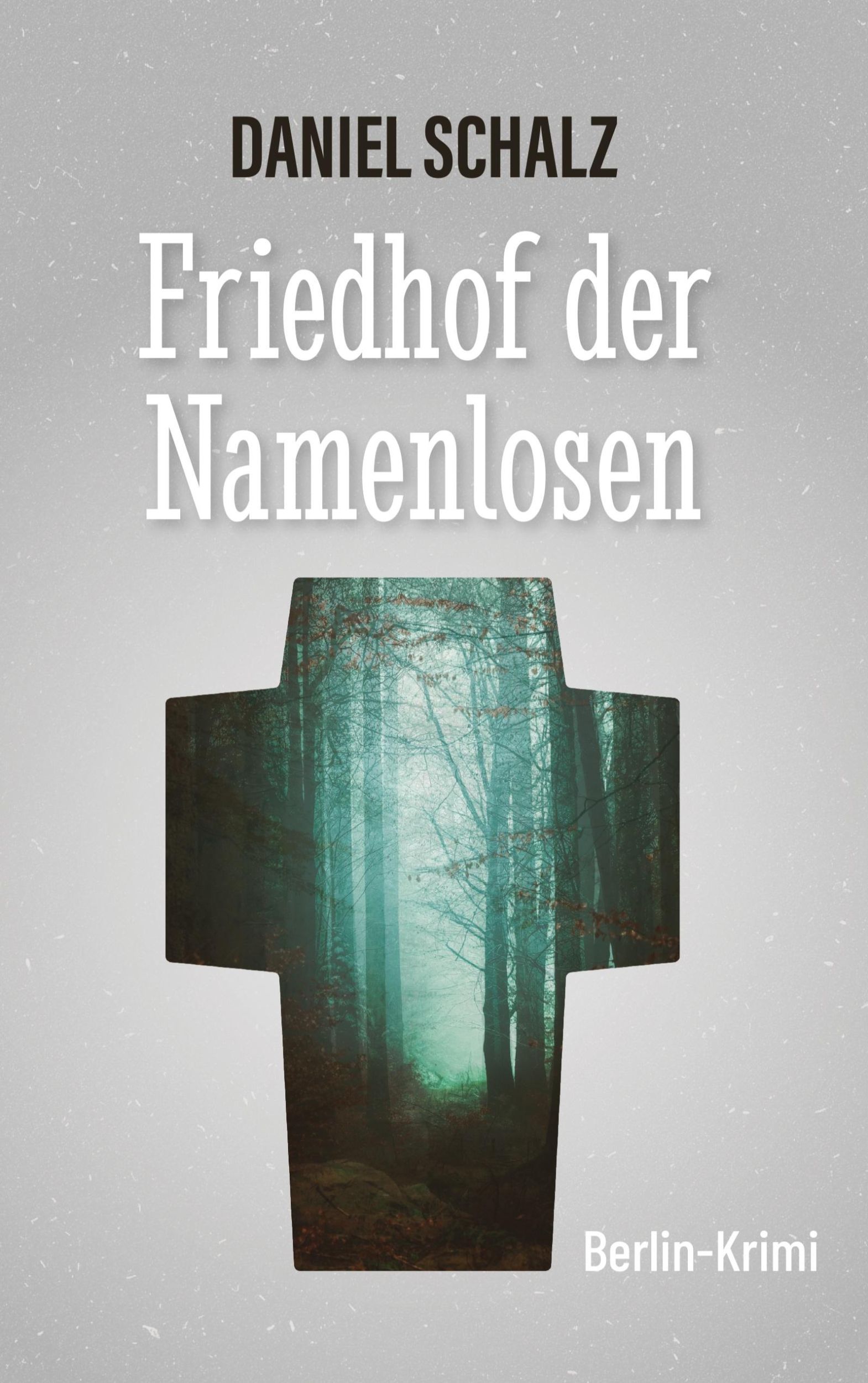 Cover: 9783759758286 | Friedhof der Namenlosen | Berlin-Krimi | Daniel Schalz | Taschenbuch