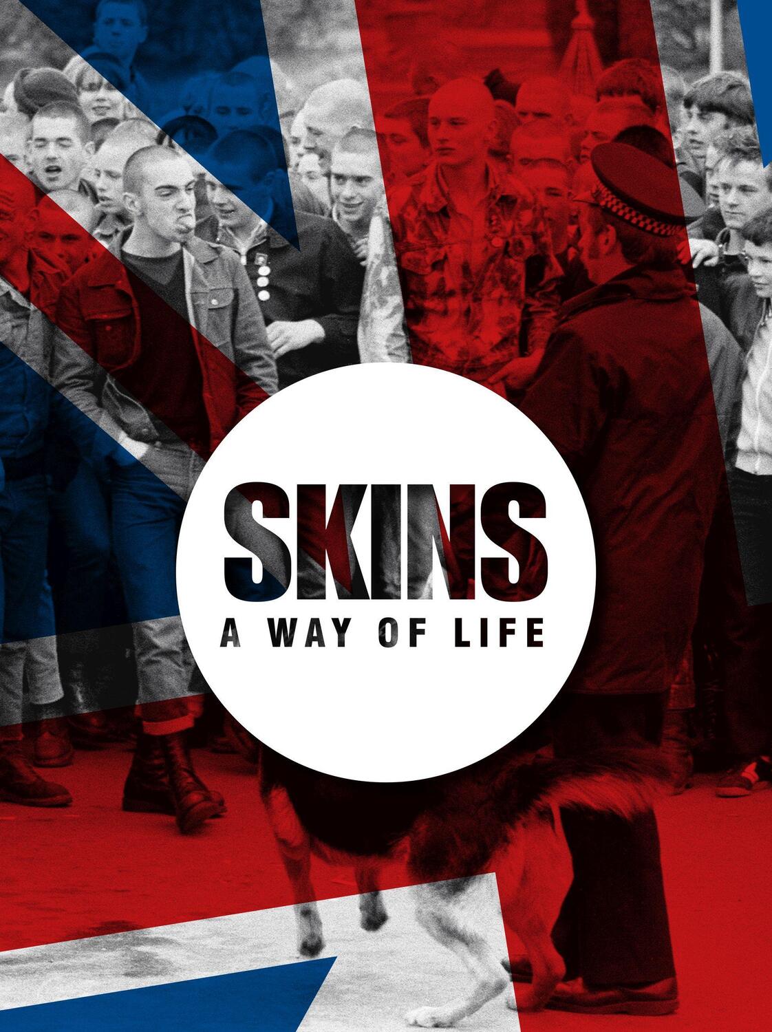 Cover: 9781908211668 | Skins | A Way of Life | Patrick Potter | Buch | Two Finger Salute