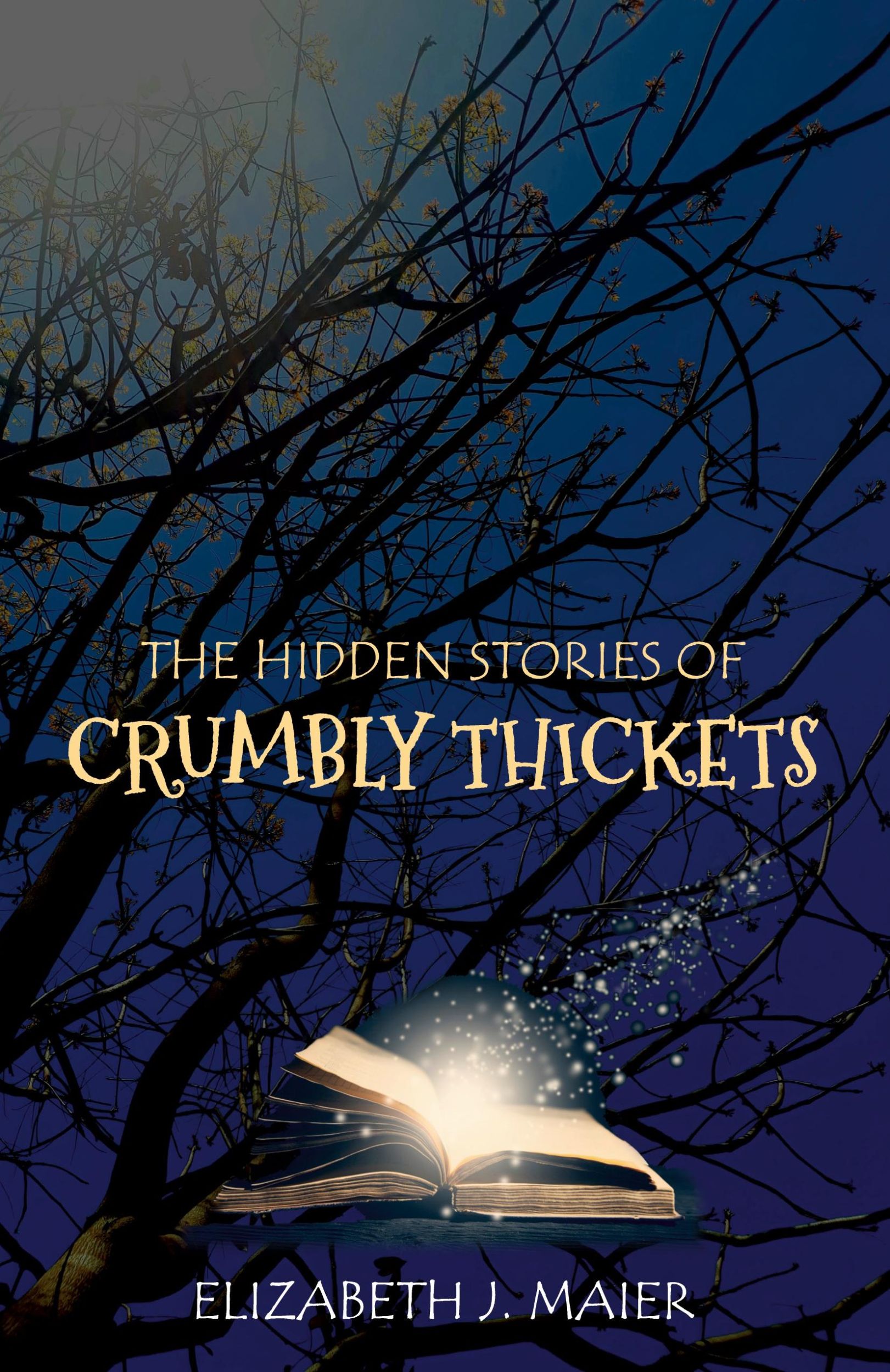 Cover: 9781835633113 | The Hidden Stories of Crumbly Thickets | Elizabeth J. Maier | Buch