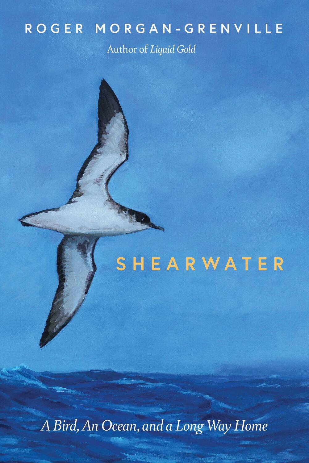 Cover: 9781785787201 | Shearwater: A Bird, an Ocean, and a Long Way Home | Morgan-Grenville